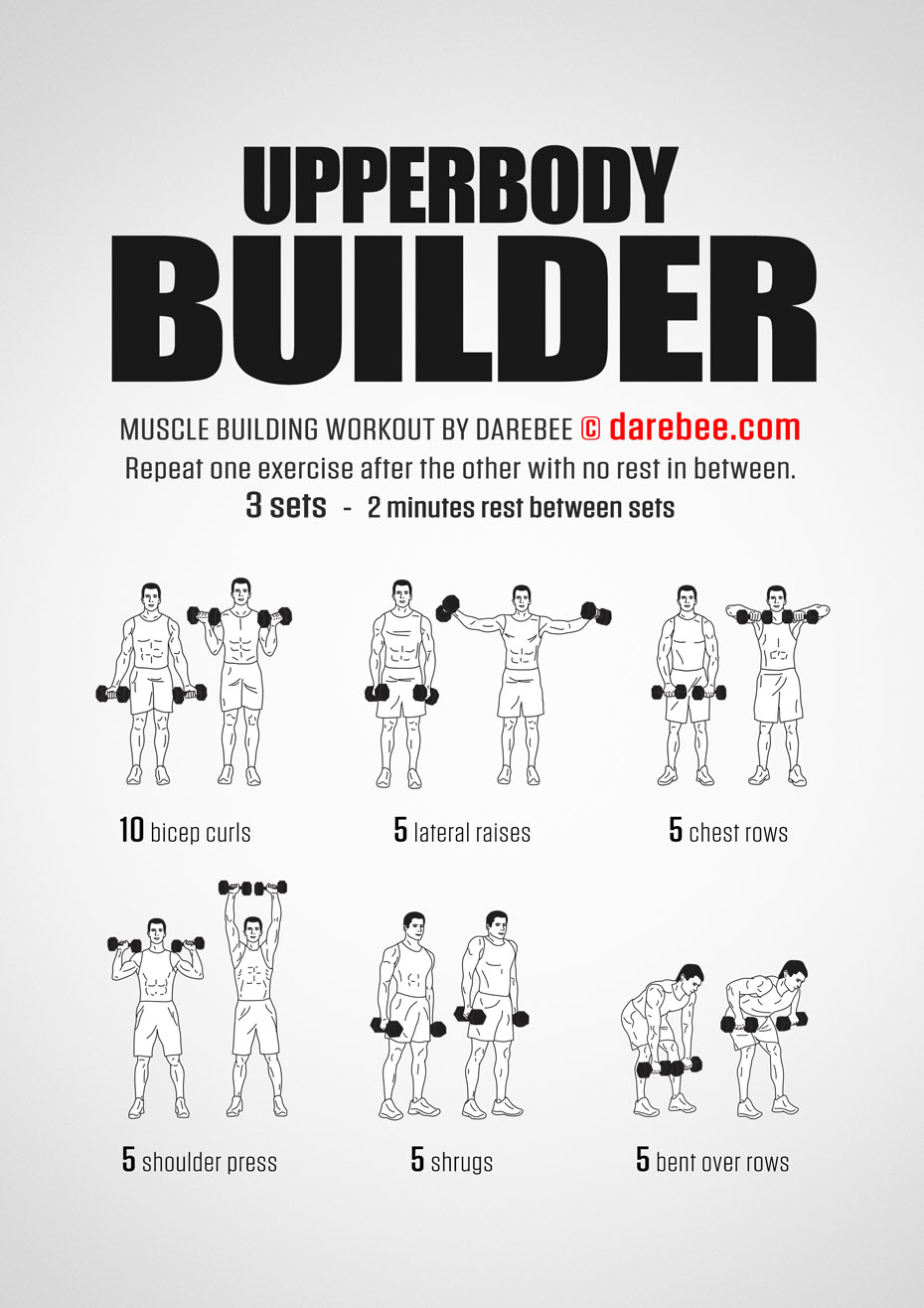 upper body dumbbell workout pdf